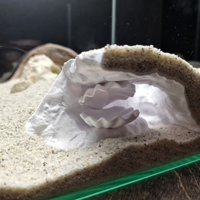 Hidden Shell Fish Tank Cave 3D - огляд і ціна Aquarium Fish Hide