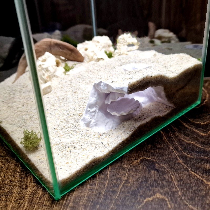 Hidden Shell Fish Tank Cave 3D - огляд і ціна Aquarium Fish Hide