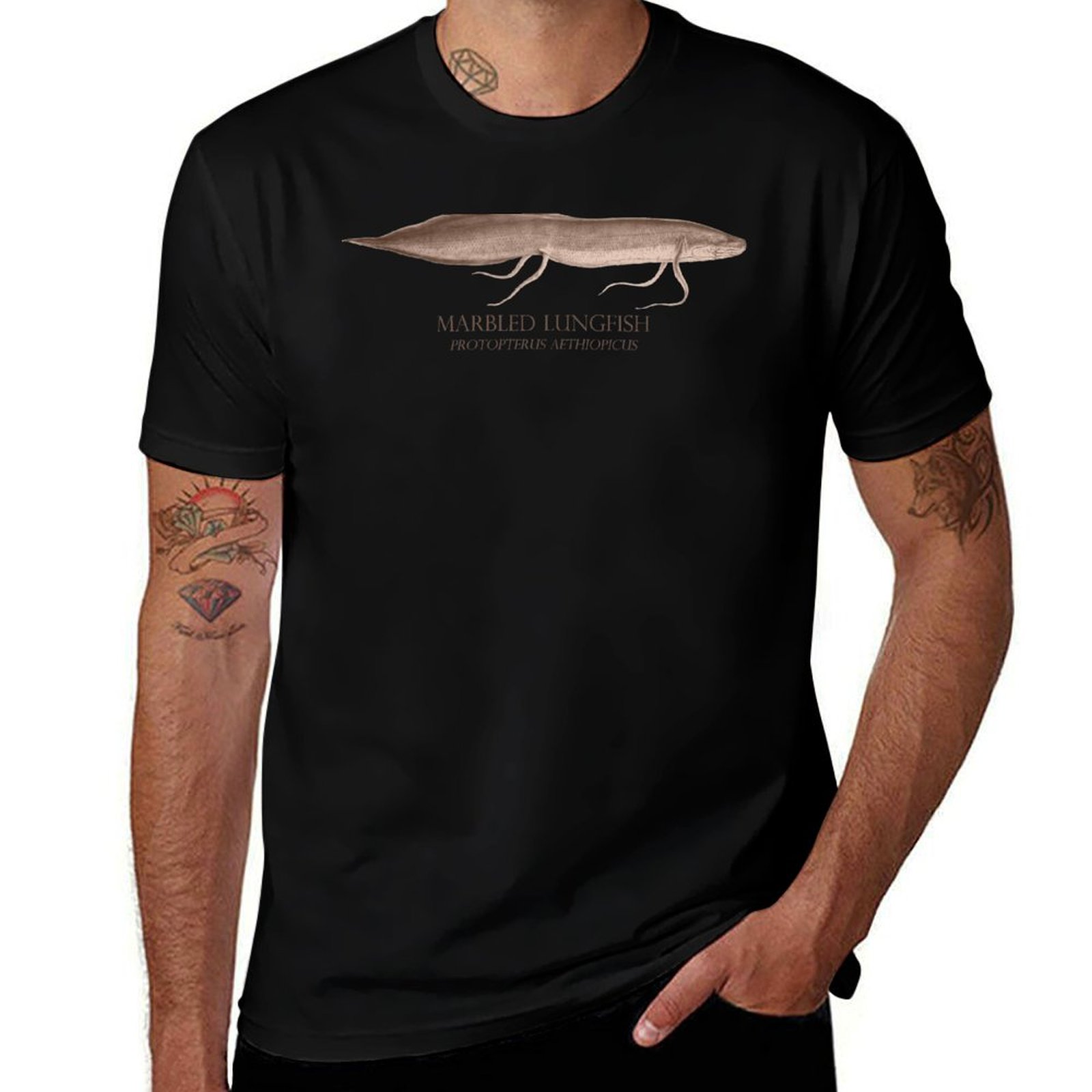 Lungfish Protopterus Aquarium  - огляд і ціна Aquarium Fish Monster