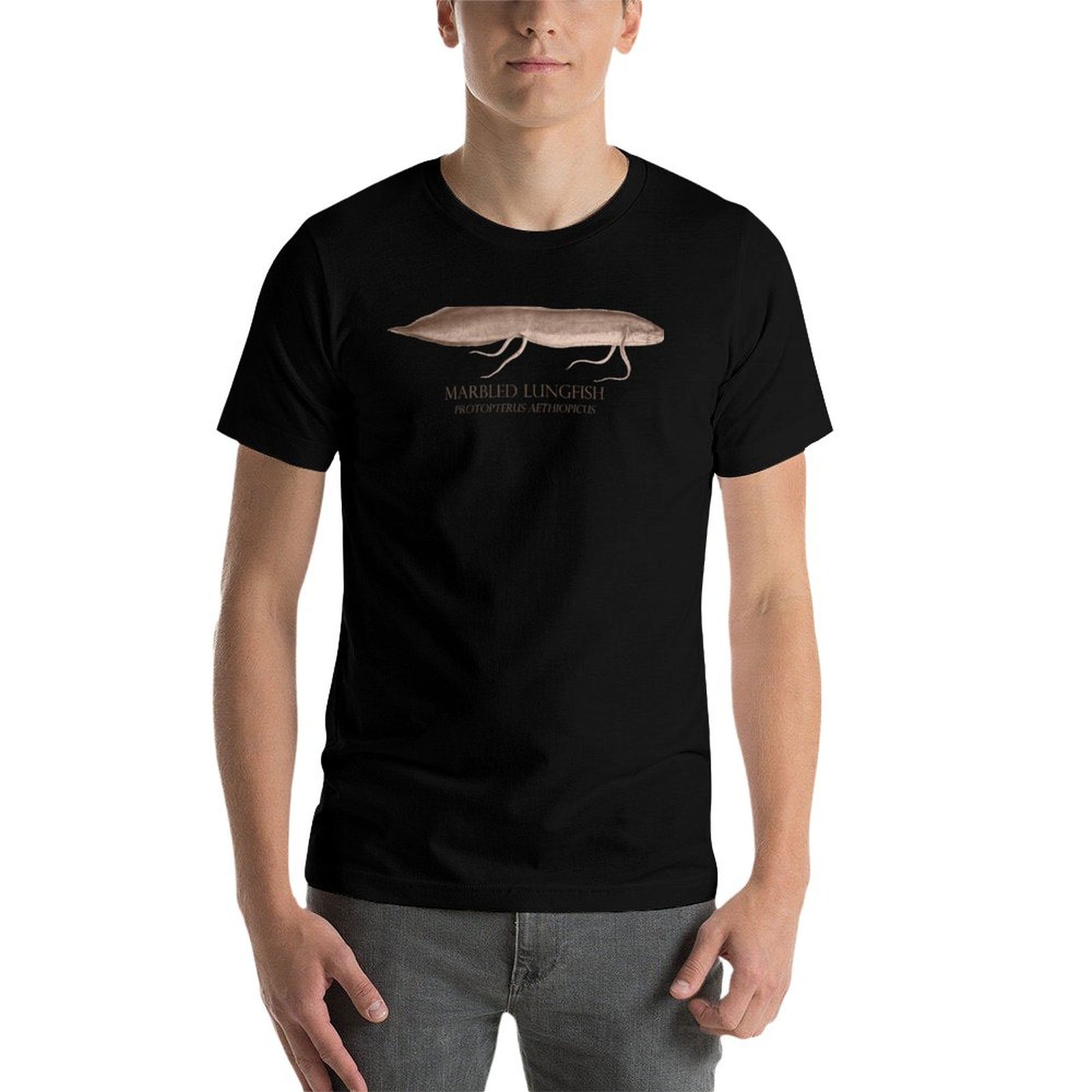 Lungfish Protopterus Aquarium  - огляд і ціна Aquarium Fish Monster
