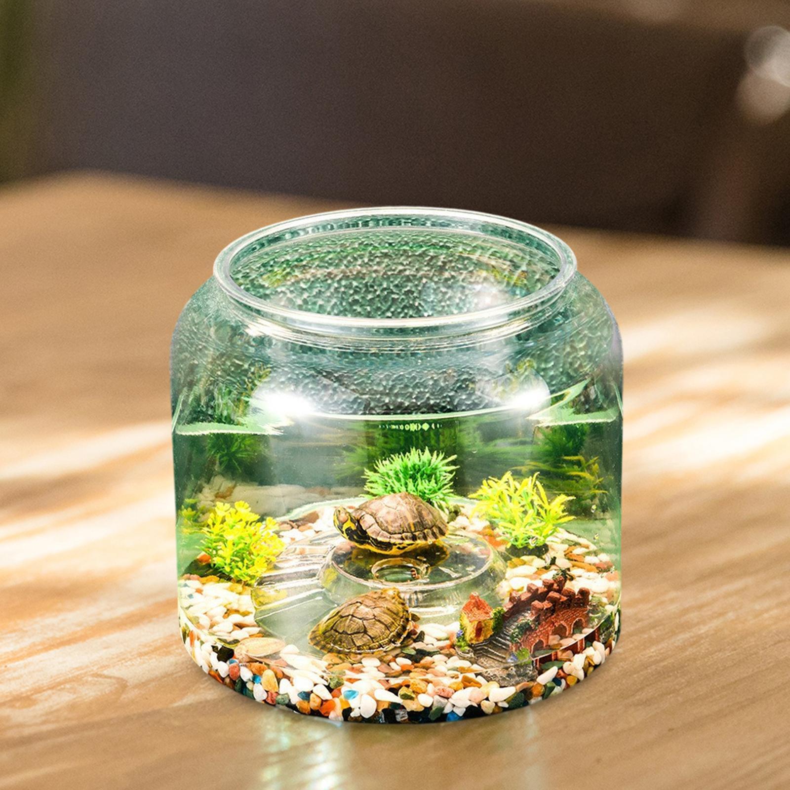 Turtle Tank Tabletop Reptile H - огляд і ціна Aquarium Fish Drawing