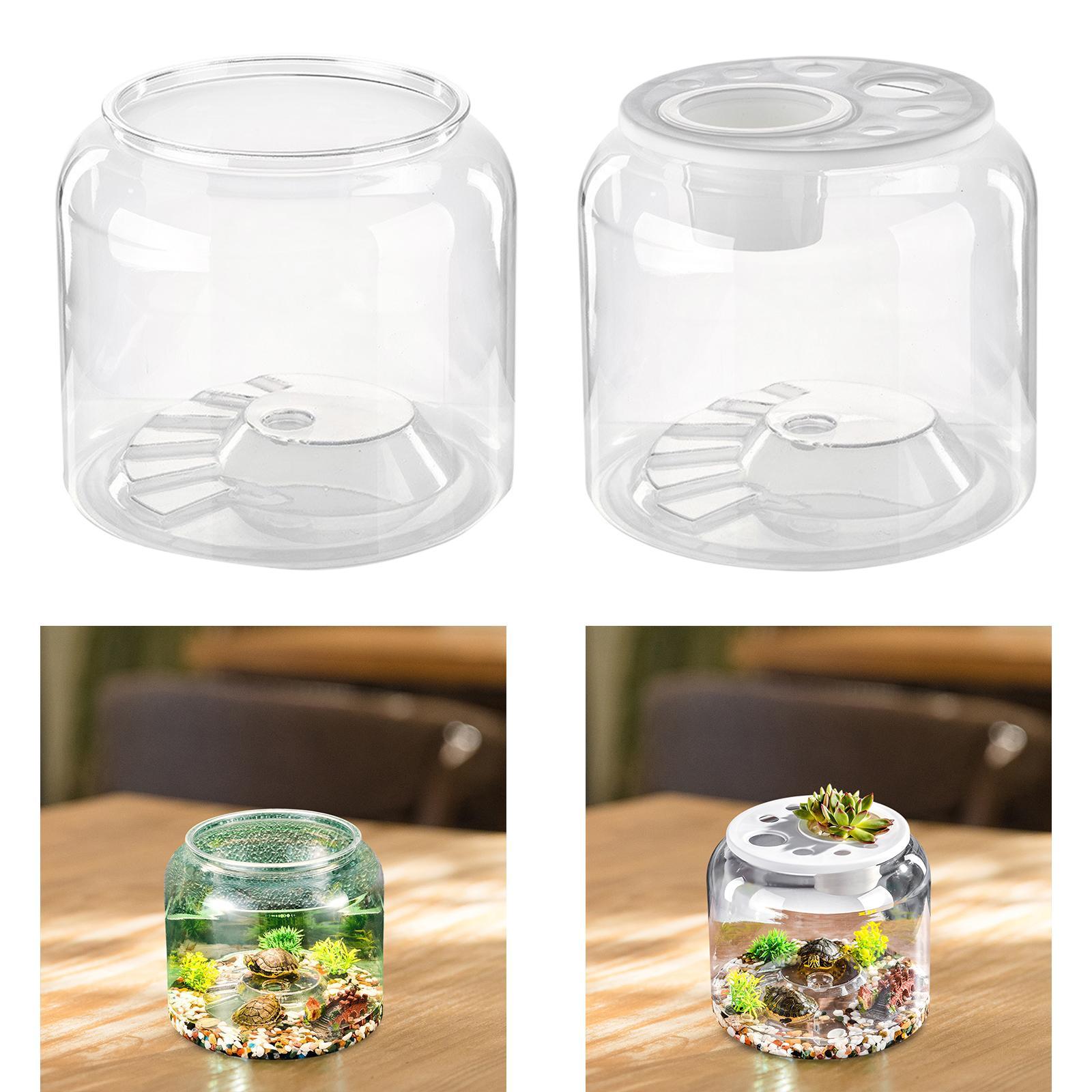 Turtle Container High Capacity - огляд і ціна Aquarium Fish Drawing