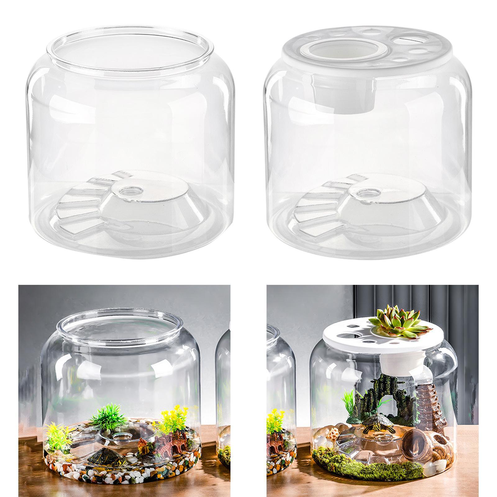 Turtle Container High Capacity - огляд і ціна Aquarium Fish Drawing